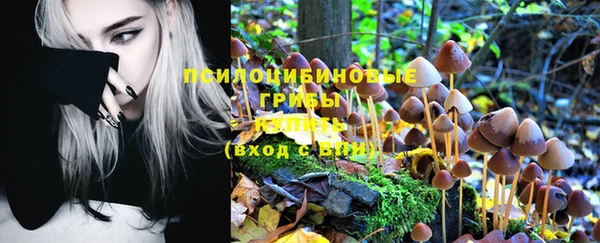 стафф Белоозёрский