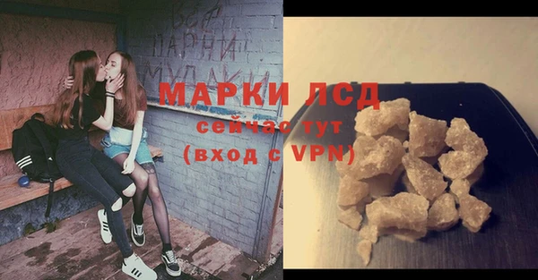 гидропоника Белокуриха