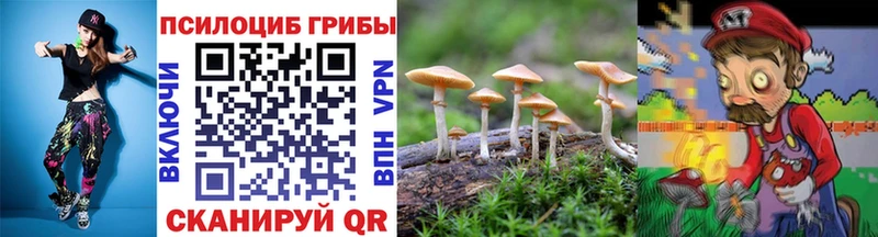 Псилоцибиновые грибы GOLDEN TEACHER  купить наркотик  Семикаракорск 