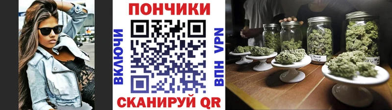 Бошки марихуана план Семикаракорск